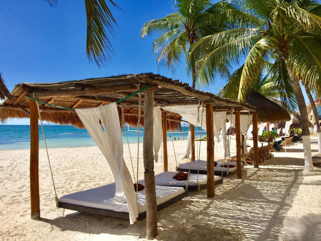 坎昆加勒比海公寓的棕榈树海滩上的一组床位