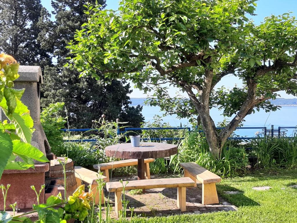 波尔托罗Apartments and Rooms Knez的花园里的野餐桌和长凳