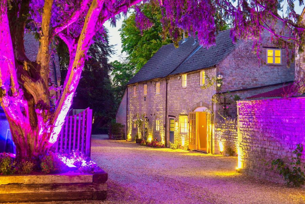 沃特牛顿内尼河度假屋的紫色灯环绕着一棵树的房子