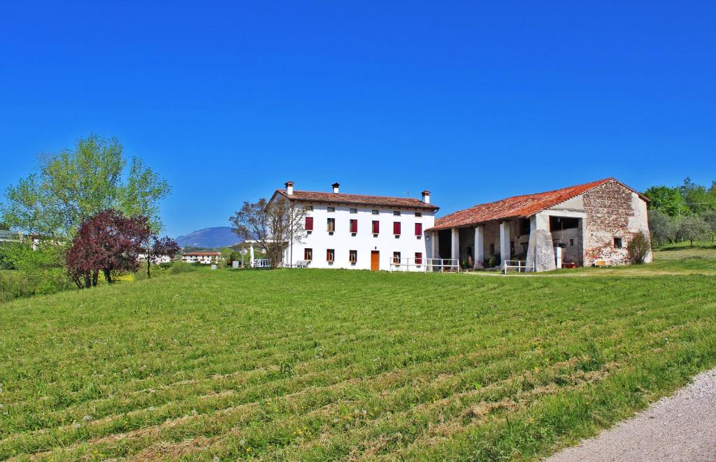 马罗斯蒂卡Agriturismo Vecio Portico的田野旁草地山丘上的一座老房子