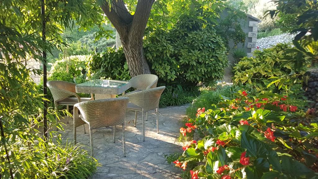 特斯特诺Apartment Barica的花园里种满鲜花,配有桌椅