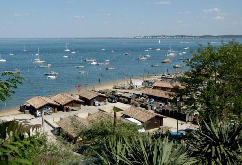 雷日卡普费雷Appartement cosy village de L'Herbe的享有海滩和水中船只的景色