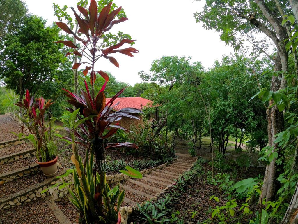 Santa ElenaSanta Cruz Cabins的花园设有楼梯和植物