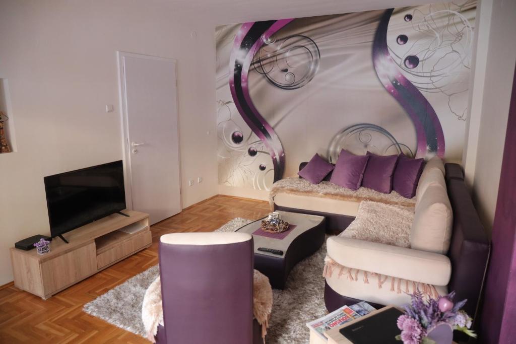 新瓦罗什Apartman Aleksandar的带沙发和电视的客厅