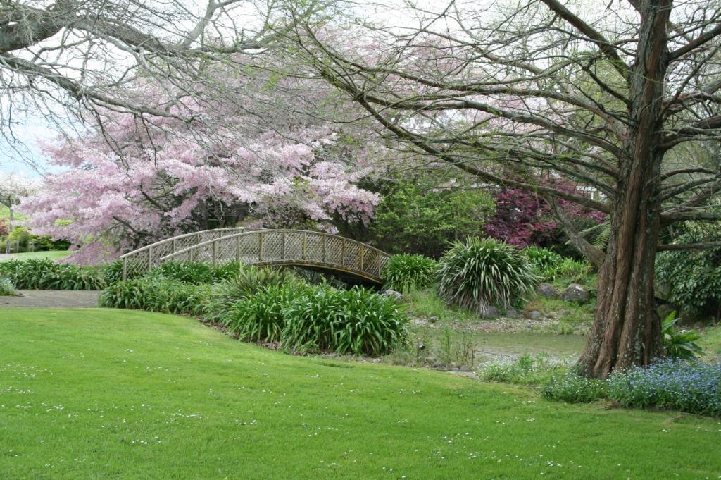 OkoroireBridgehaven Guesthouse的花园里的一座桥,花朵粉红色