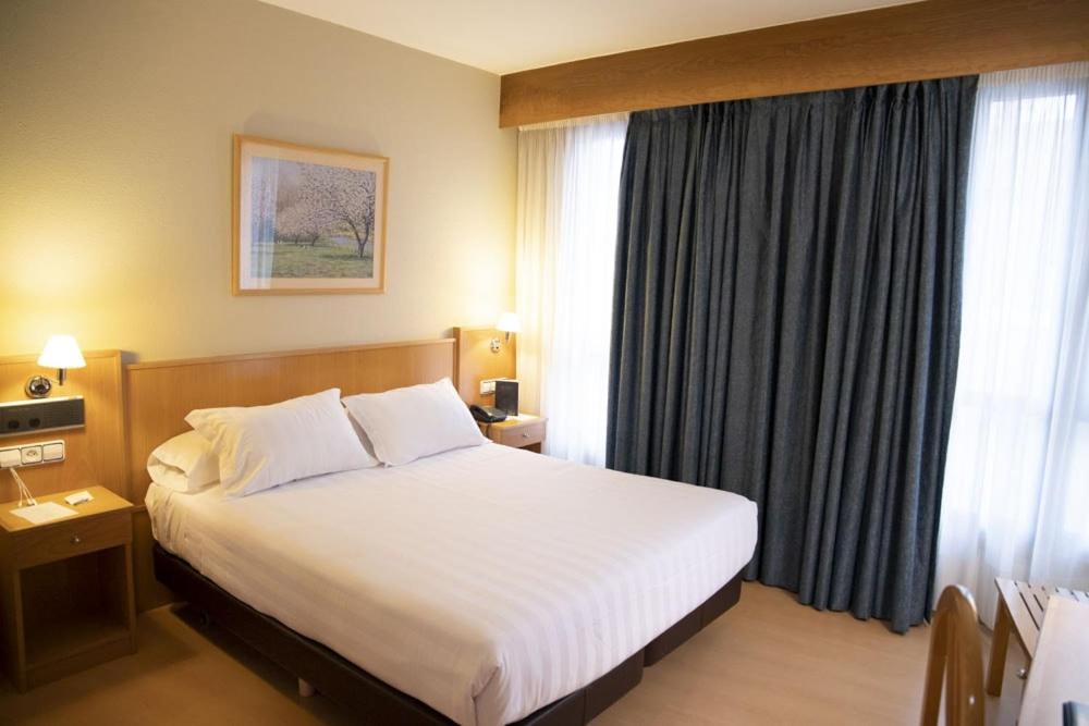 维拉加尔西亚·德·阿劳萨Hotel Alda Castelao的一间设有大床和窗户的酒店客房