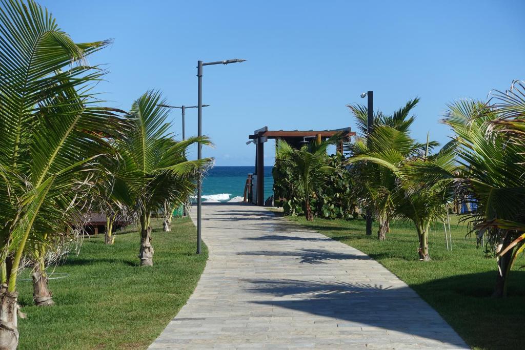 嘎林海斯港Flat Praia do Cupê - Porto de Galinhas的海滩边种有棕榈树的海滨步道