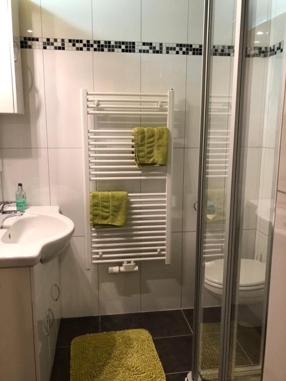 SibratsgfällFerienwohnung & Spa Renate的带淋浴和盥洗盆的浴室