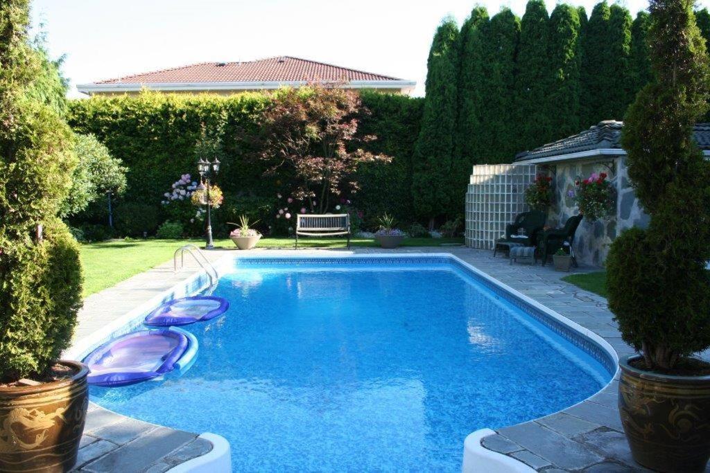里士满巨石阵住宿加早餐旅馆的庭院里的一个蓝色海水游泳池