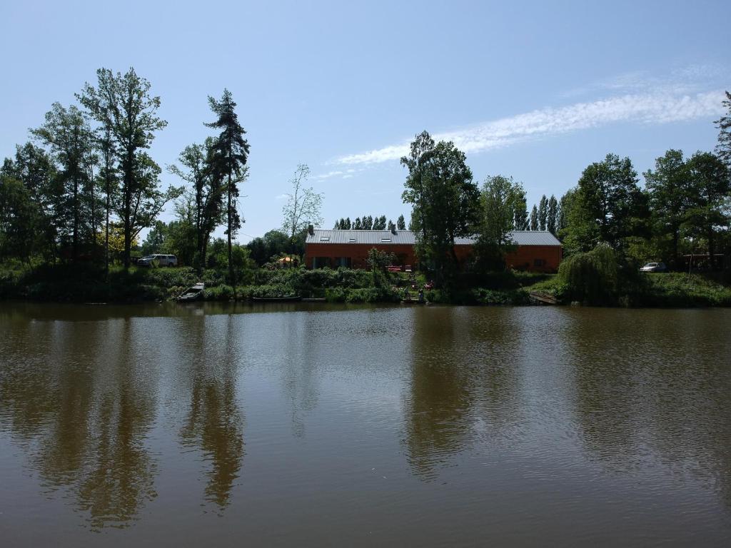 夫洛雷恩Florennes Gîte neuf 150 M2 devant un grand lac privé de 2 hectares poissonneux au milieu des bois的一大片水体,有一座建筑的背景