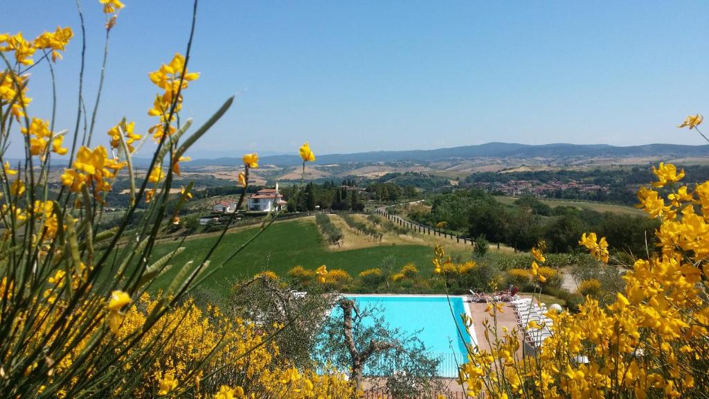 阿夏诺Holidays in apartment with swimming pool in Tuscany Siena的享有带游泳池和鲜花的山丘美景