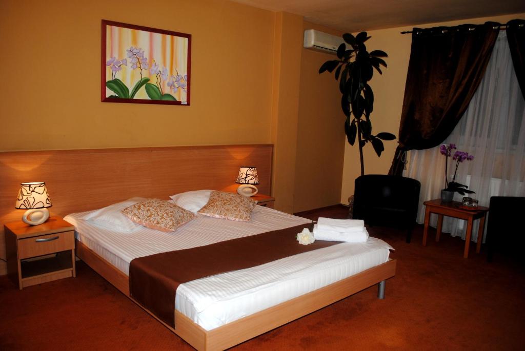 蒂米什瓦拉凡蒂亚酒店的一间卧室,卧室内配有一张大床