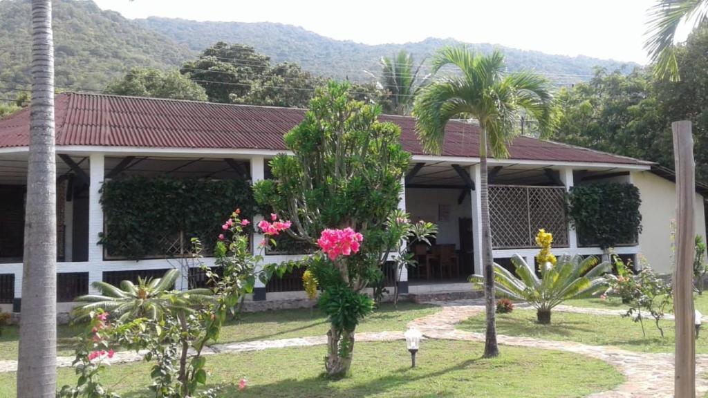 卡里蒙贾瓦维林之家假日公园的前面有棕榈树的房子