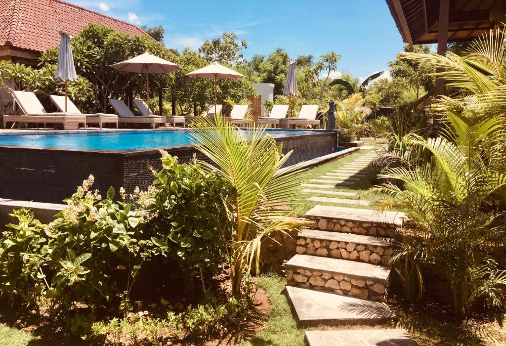 蓝梦岛格东努萨旅馆的后院设有游泳池、椅子和植物