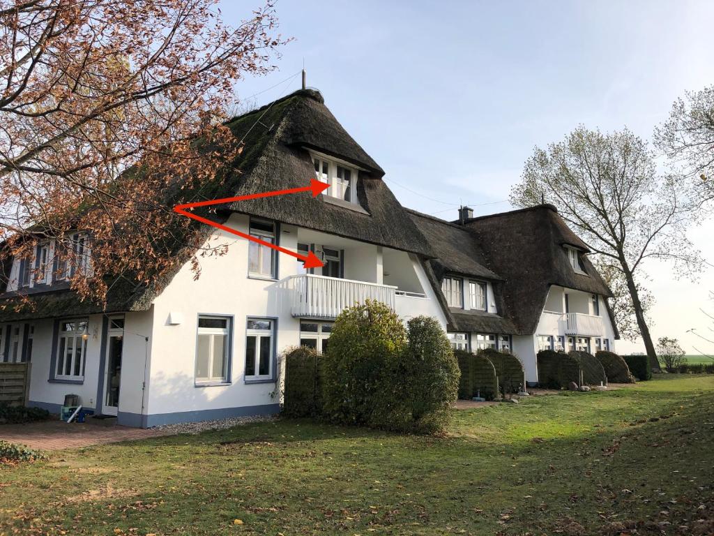 施托尔佩奥夫乌塞多姆Refugium Raabenhorst im Landhaus am Haff的一座带茅草屋顶的大型白色房屋