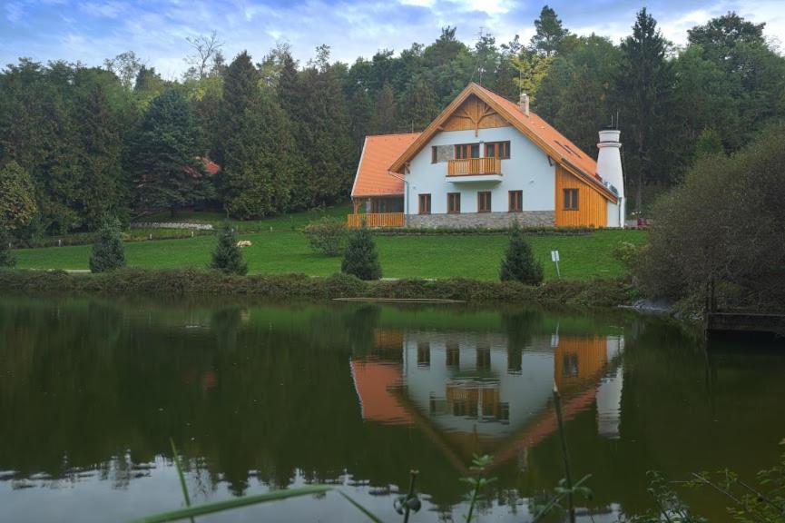 SágvárAlirét Vadászház的水边的房子