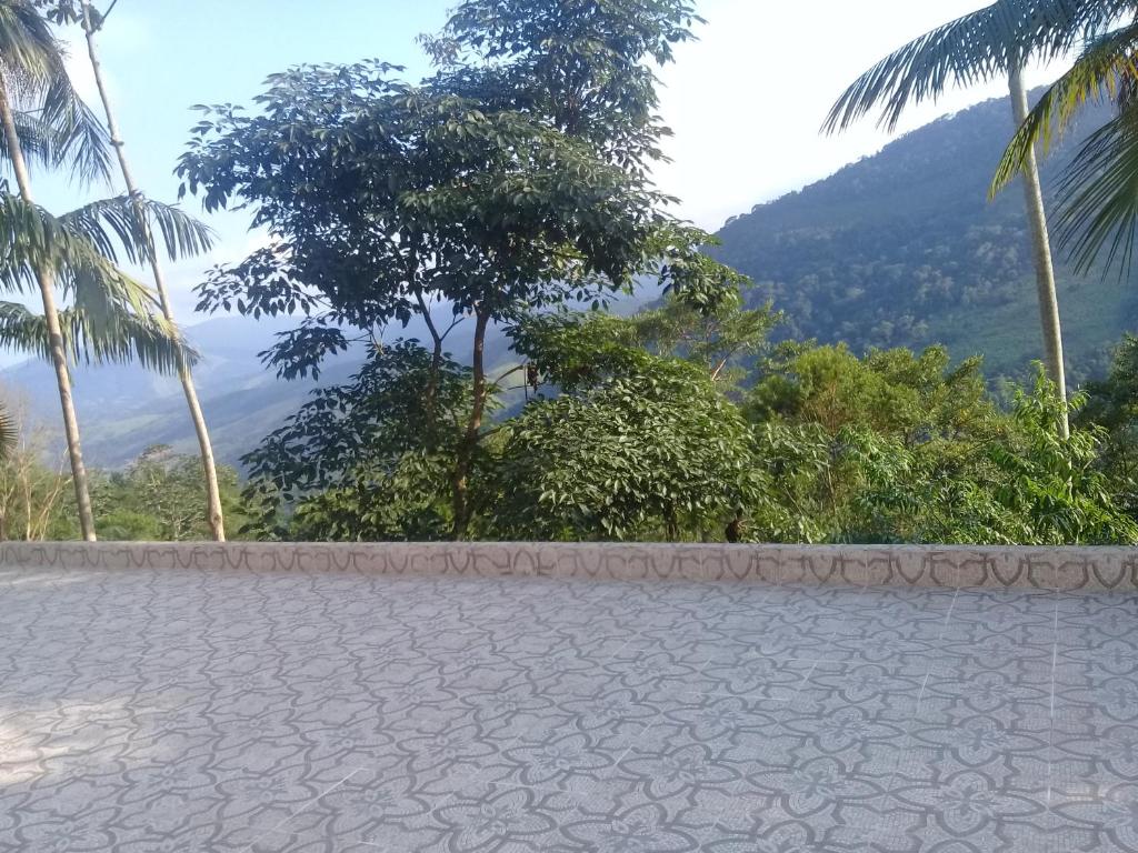 山林小屋周边自然景观