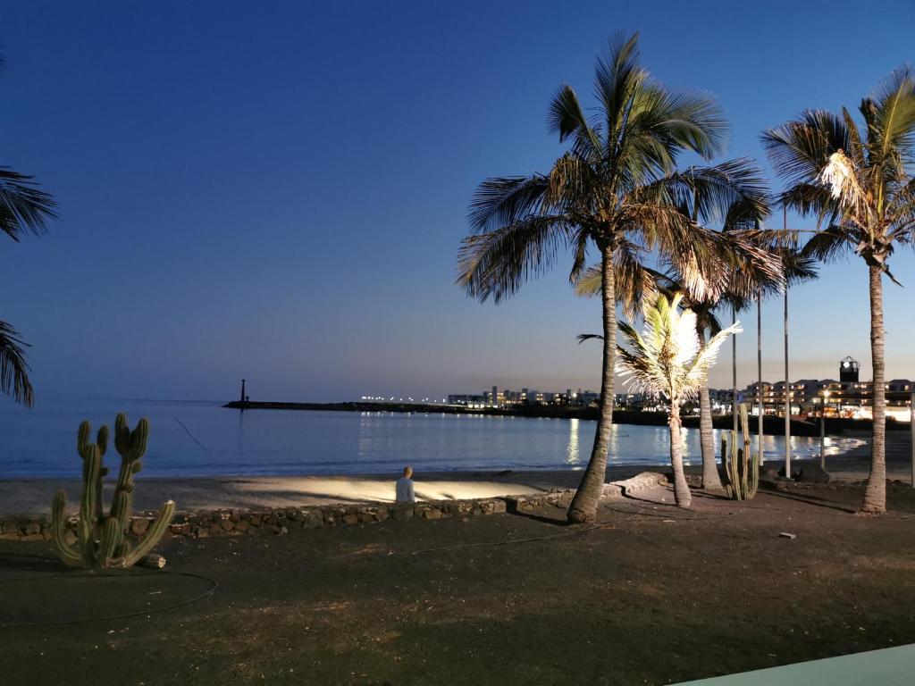 科斯塔特吉塞Residence Playa Roca的一个人在棕榈树和码头的海滩上散步