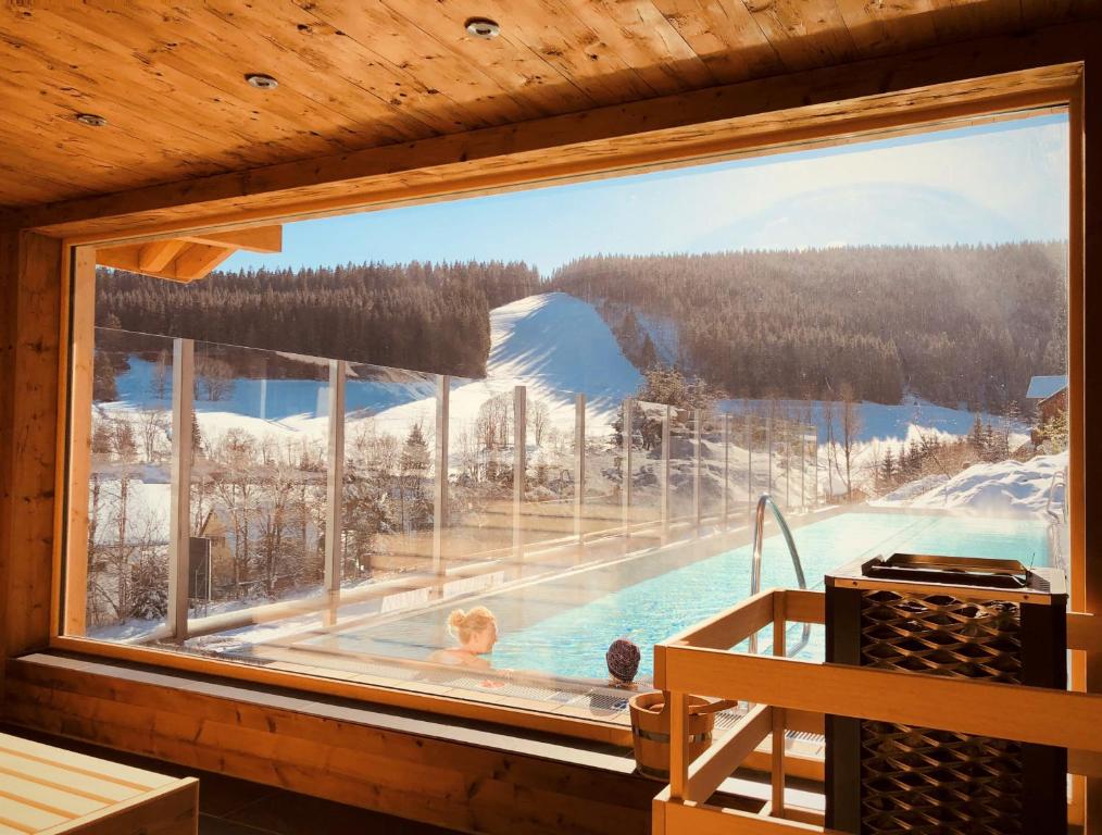 费尔德伯格舒尔栋酒店的从小屋的窗户可欣赏到游泳池的景色