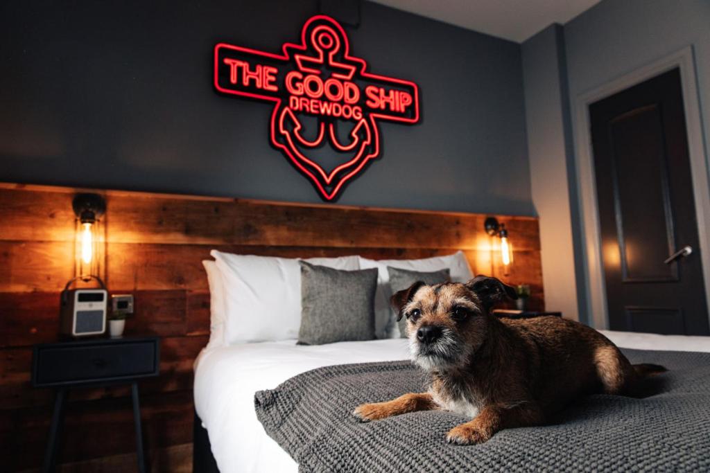 阿伯丁BrewDog Kennels - Aberdeen的一只狗躺在床上,上面有标志