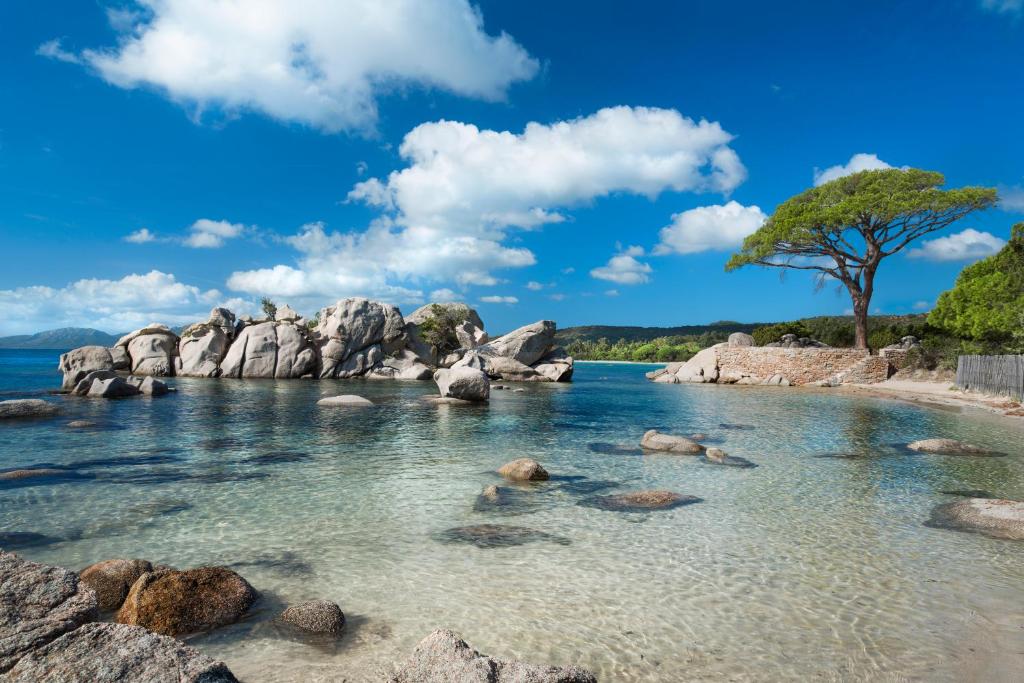 维琪奥港Villa Les Lieges de Palombaggia的海水中一片拥有岩石和树木的海滩