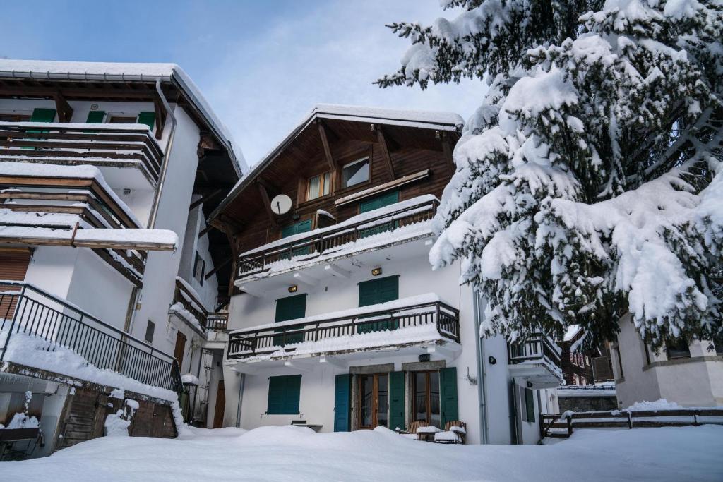 夏蒙尼-勃朗峰Prachtig familie appartement voor 6 personen in het hart van Argentière, Chamonix Mont-Blanc的雪中一棵树的房子