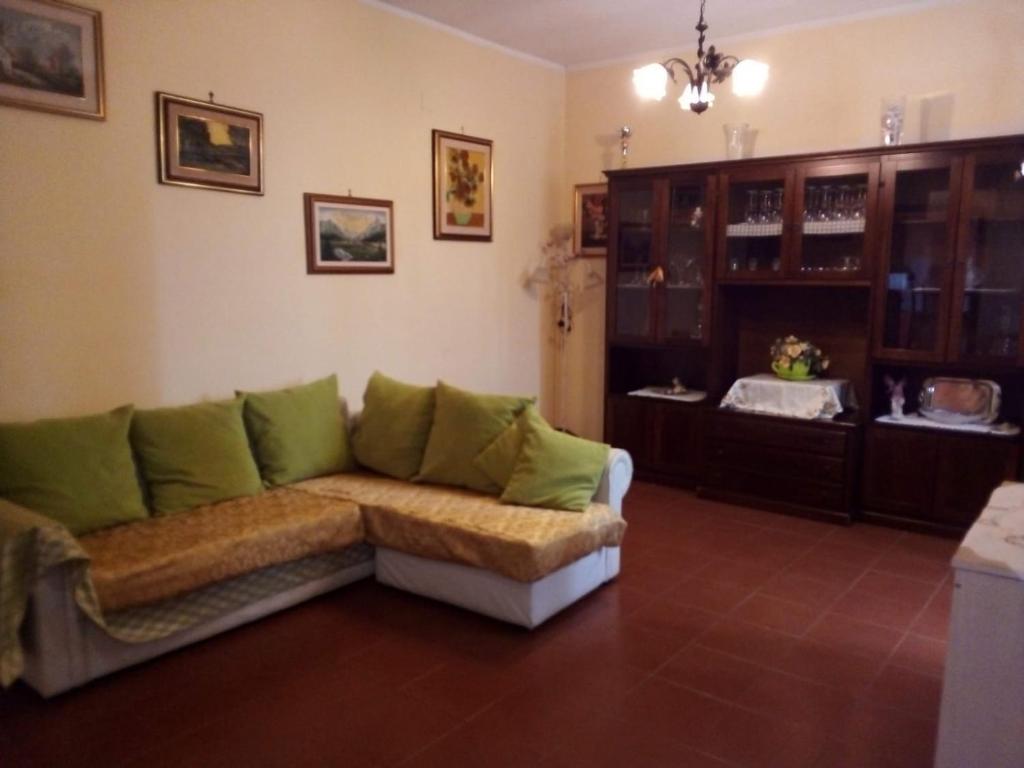 马利亚诺萨比纳ALLOGGIO TURISTICO LA MIMOSA的客厅配有带绿色枕头的沙发