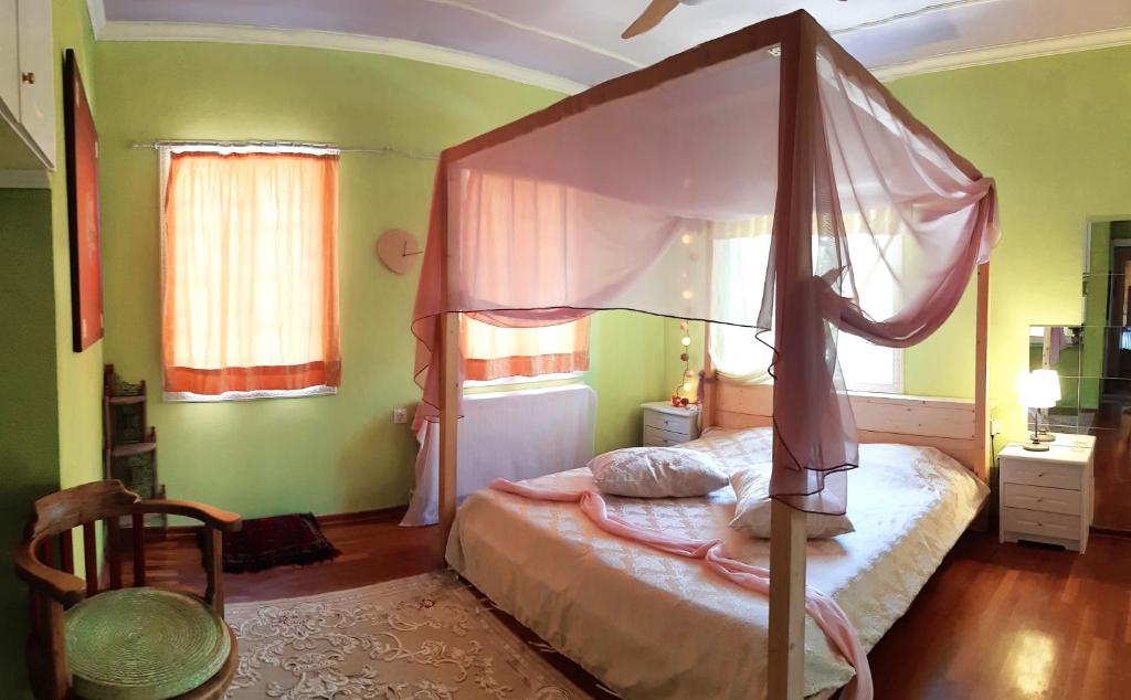 Nísos IoannínonLittle Island Resort的一间卧室设有天蓬床和绿色的墙壁