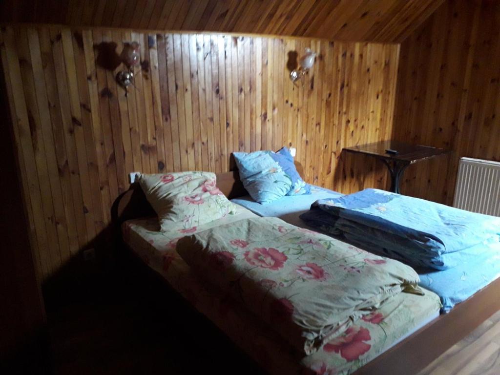 BerezynaОтель Виктория的一间卧室设有两张床和木墙