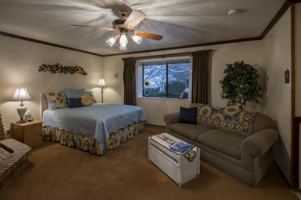 佩吉Canyon Colors Bed and Breakfast的一间卧室配有一张床、一张沙发和吊扇。