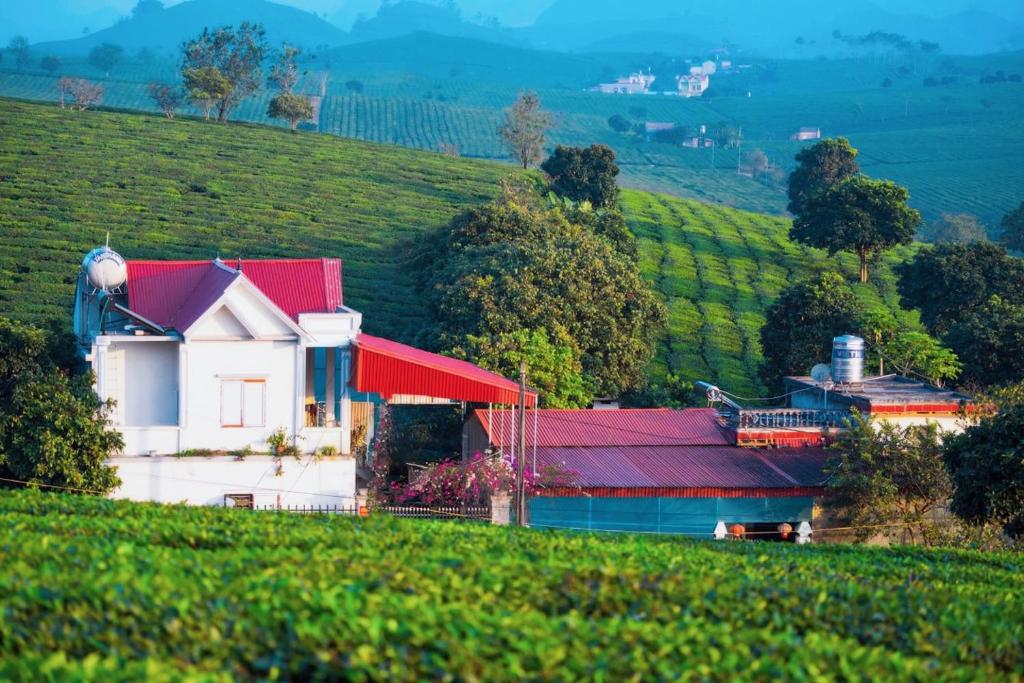 木州县莫克舟民宿的一座白色的房屋,位于一座山丘上,拥有红色的屋顶
