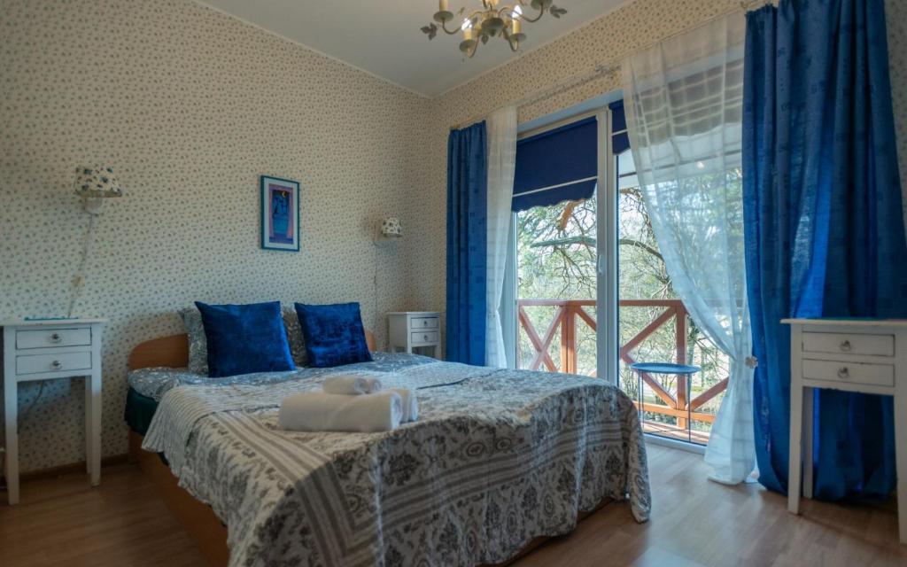 德鲁斯基宁凯Green Gile Villa in Druskininkai Center的一间卧室配有一张带蓝色枕头的床和一扇窗户。