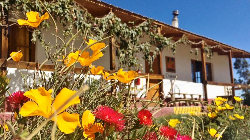 普特雷La Chakana Lodge的房子前面的一束鲜花