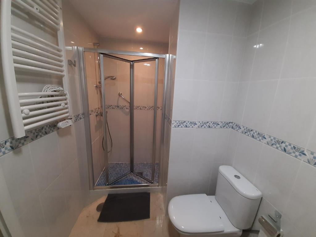 阿尔姆尼卡Apartamento Cotobro的带淋浴和卫生间的浴室。