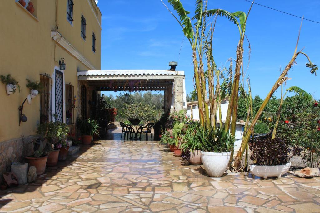 安波拉Alojamiento rural Masía Valldepérez的一座种有盆栽植物的庭院和一座建筑
