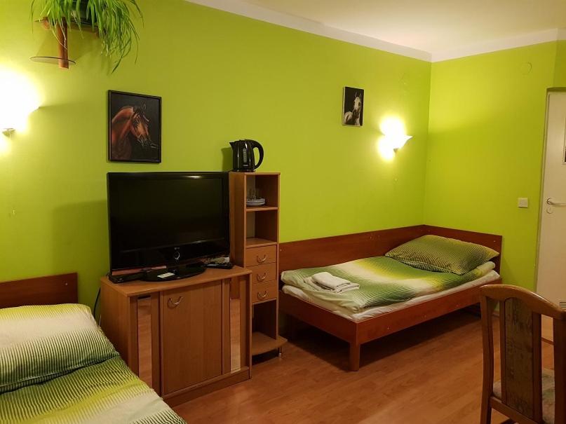 OkonekGospodarstwo Agroturystyczne Anielin的绿色客房配有两张床和一台平面电视