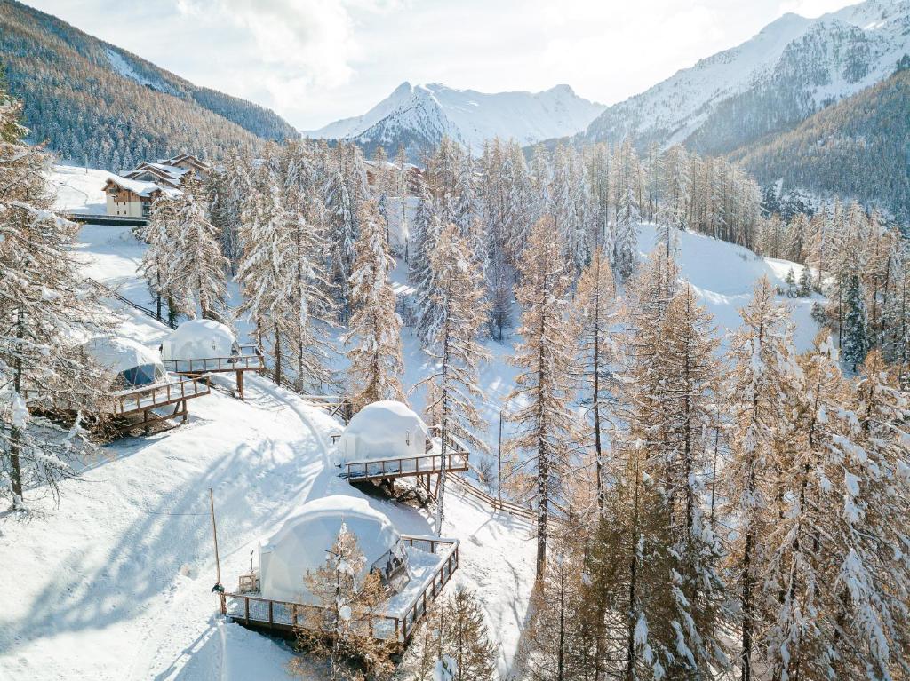 莱索尔Alpin D'Hôme Hôtel & Spa的雪覆盖的山,有雪覆盖的树木和房屋