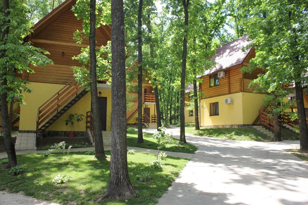 LomacineţiВілія的树林中的房屋,前面有一条小径