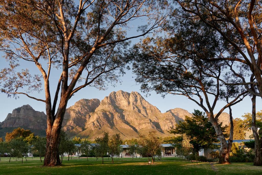 弗朗斯胡克Boschendal Farm Estate的从公园欣赏到壮丽的山脉景色