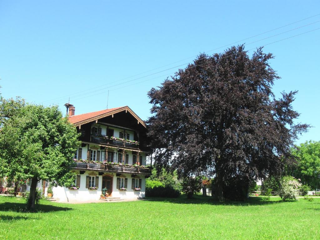 WarngauSaliterhof的田野上有一棵树的大房子
