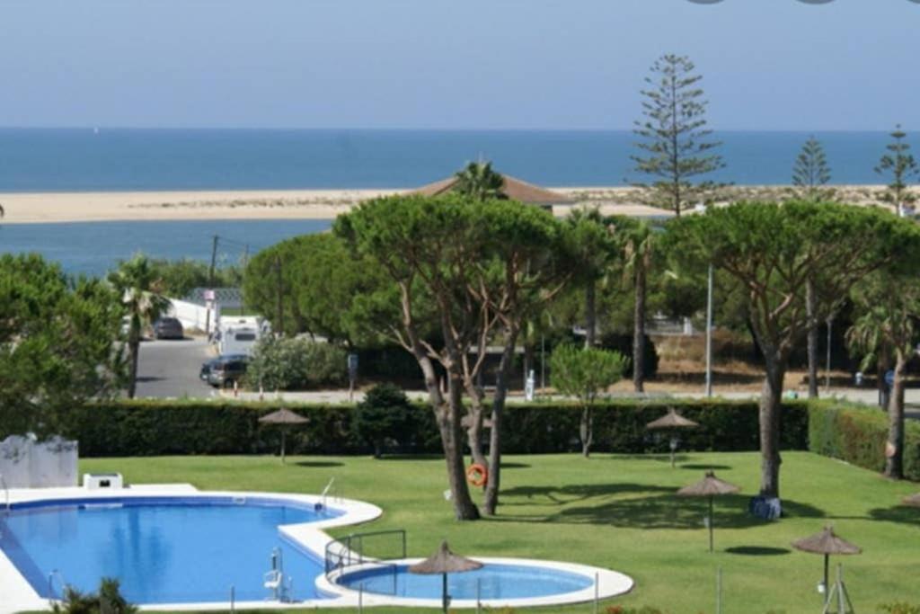 埃尔波提尔Arabia`s Loft II Nuevo Portil的拥有2个游泳池、树木和海滩的度假村
