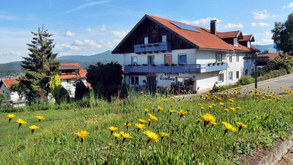 RiedlhütteGästehaus am Goldberg的一座小山上的房屋,花田黄