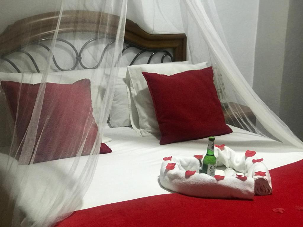 卡拉斯帕拉Hotel Argos的床上有两瓶葡萄酒