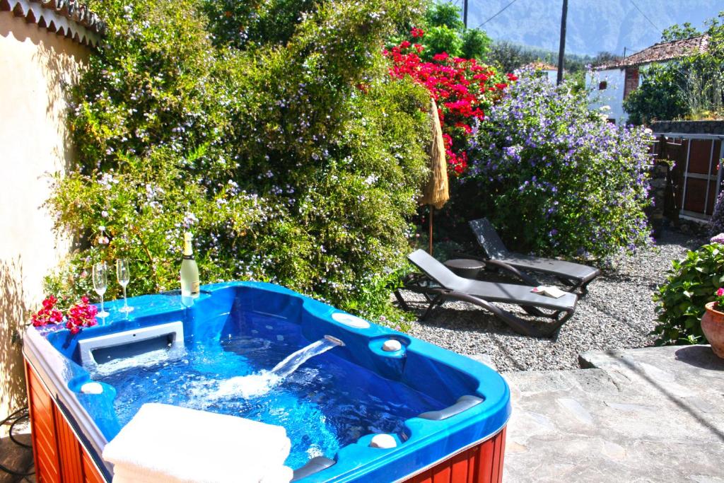 埃尔帕索El Morro的花园内带水槽的蓝色浴缸