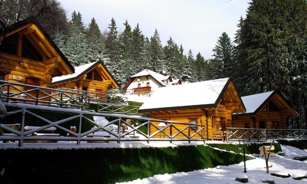 霍茨科波霍尔耶鲁塞维克绿村公寓的雪中树林中的小屋