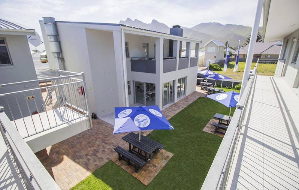 克莱因蒙德Kleinmond Lodge的阳台,带蓝色遮阳伞的庭院