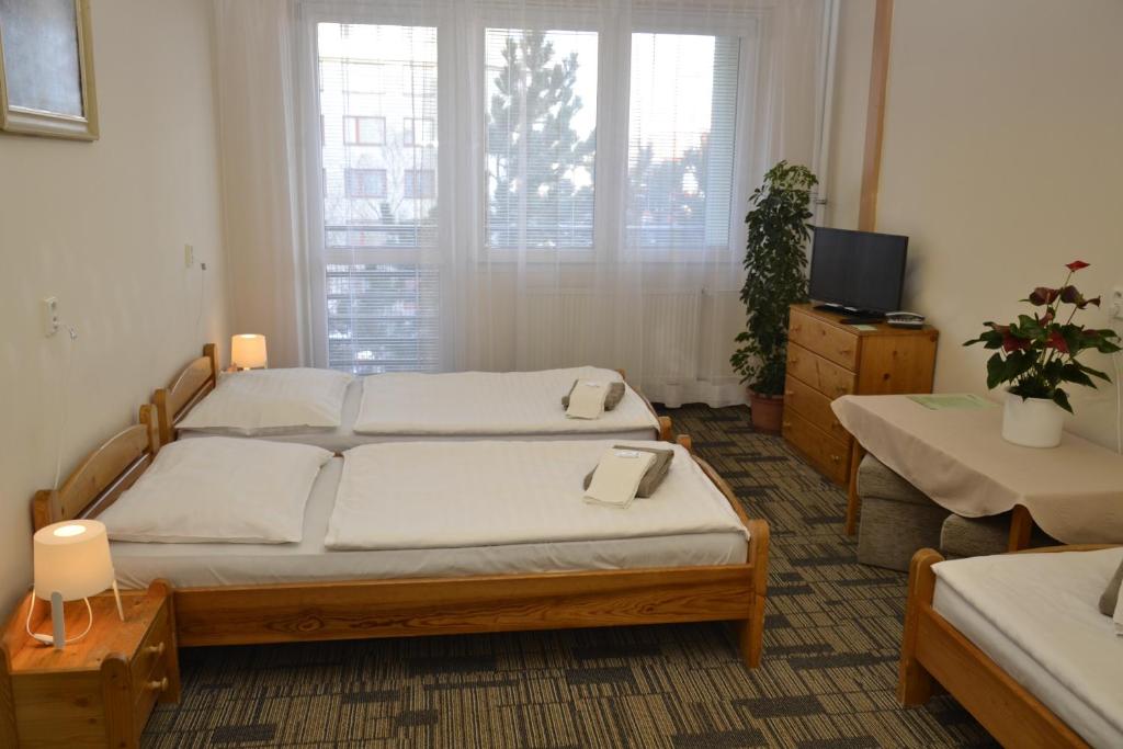 布拉格伏尔加酒店的一间卧室设有一张床、一台电视和一个窗口。