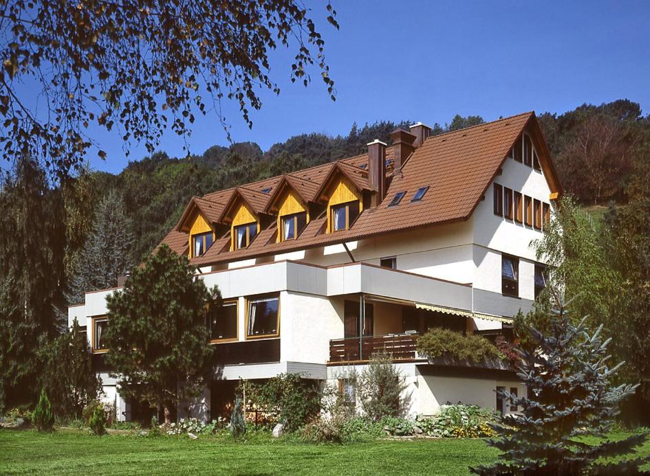 施特根雷克伯格酒店的白色的大建筑,带有棕色的屋顶