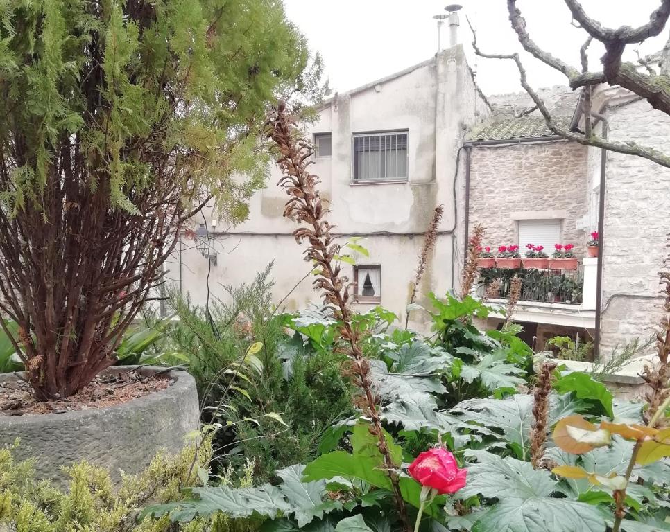 ClaravallsCa la Bet的一座花园,在一座建筑前有红玫瑰