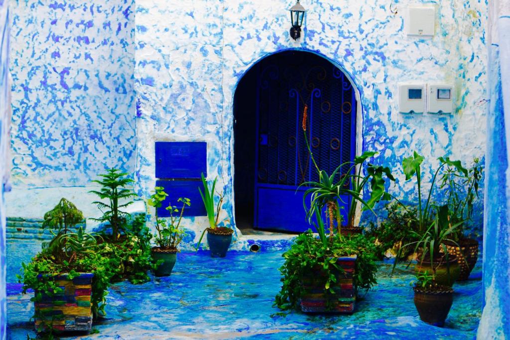 舍夫沙万casa malek的门前有盆栽植物的蓝色门道